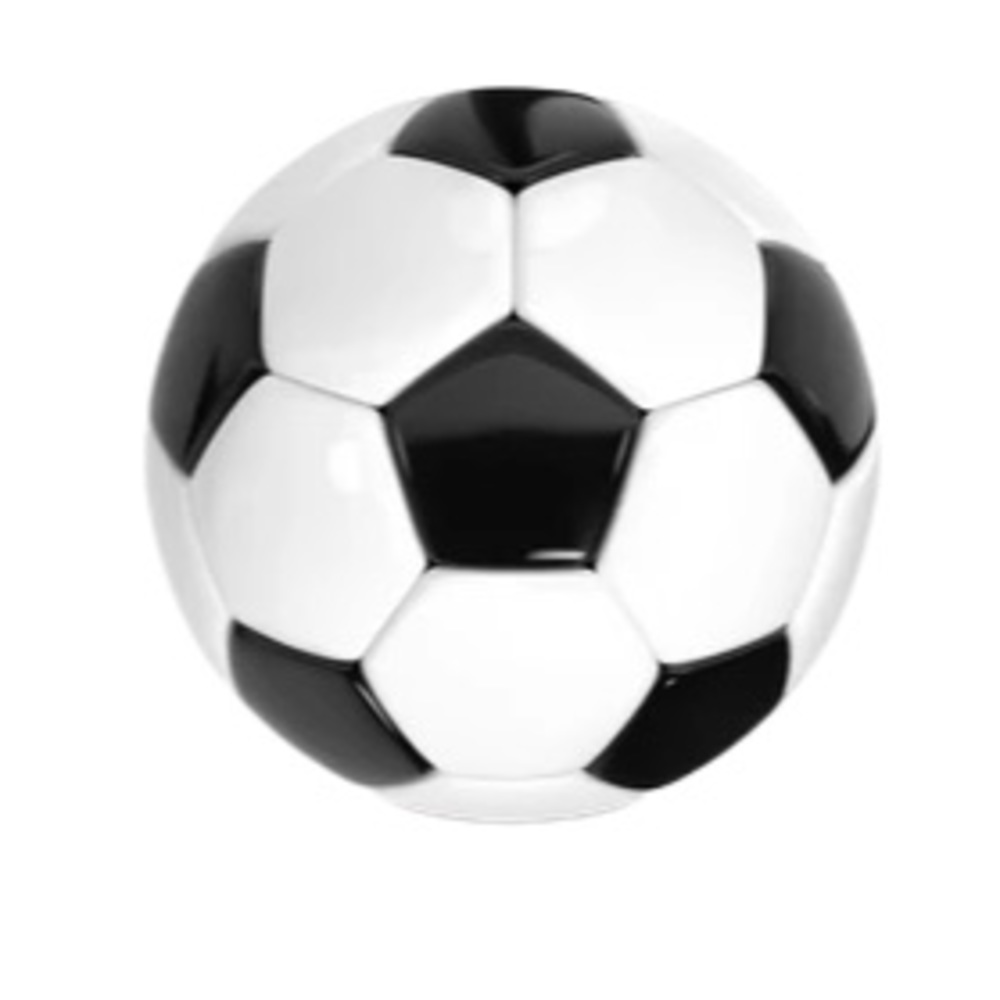 Meet your Posher, Delaney